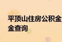 平顶山住房公积金查询 平顶山个人住房公积金查询