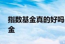 指数基金真的好吗 为什么好多牛人投指数基金