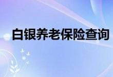 白银养老保险查询 白银个人养老保险查询