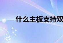 什么主板支持双显卡（什么主板好）