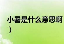 小暑是什么意思啊（小暑是什么意思（图文））