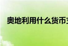 奥地利用什么货币支付 奥地利用什么货币