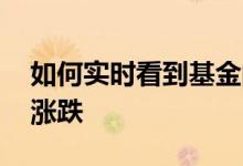 如何实时看到基金的涨跌 基金怎么看实时的涨跌