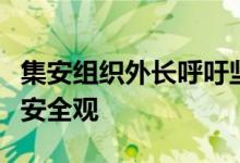 集安组织外长呼吁坚持普遍平等和不可分割的安全观