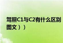 驾照C1与C2有什么区别（c2驾照和c1驾照的区别是什么（图文））