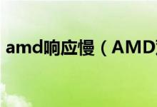 amd响应慢（AMD双核CPU速度慢的原因）