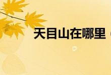 天目山在哪里（天目山在哪个省）