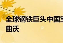 全球钢铁巨头中国宝武生产制造基地落户山西曲沃