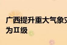 广西提升重大气象灾害（暴雨）Ⅲ级应急响应为Ⅱ级