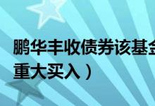 鹏华丰收债券该基金赚钱吗（全部基金有什么重大买入）