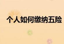 个人如何缴纳五险 个人如何缴纳五险一金