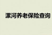 漯河养老保险查询 漯河个人养老保险查询