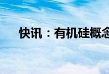 快讯：有机硅概念股持续走高多股涨停