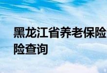 黑龙江省养老保险查询 黑龙江省个人养老保险查询