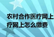 农村合作医疗网上怎么缴费河北 农村合作医疗网上怎么缴费