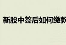 新股中签后如何缴款的 新股中签后如何缴款