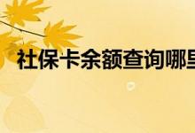 社保卡余额查询哪里可以查 网上如何查询 