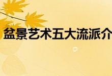 盆景艺术五大流派介绍（盆景艺术五大流派）