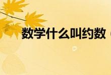 数学什么叫约数（数学什么叫自然数）