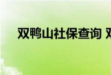 双鸭山社保查询 双鸭山个人社保卡查询