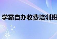 学霸自办收费培训班（办收费培训班合法吗）