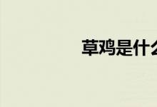 草鸡是什么意思（草鸡）