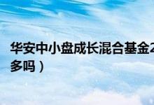 华安中小盘成长混合基金2021年第三季度表现如何（买的人多吗）