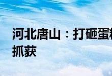 河北唐山：打砸蛋糕店案件2名犯罪嫌疑人被抓获