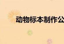 动物标本制作公司（动物标本制作）
