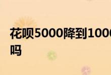 花呗5000降到1000 花呗降到500打电话有用吗