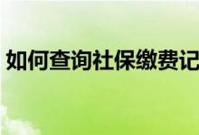 如何查询社保缴费记录 社保断交还可以用吗 
