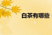 白茶有哪些（中国四大白茶）