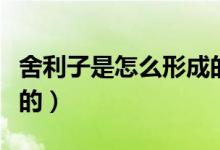舍利子是怎么形成的视频（舍利子是怎么形成的）