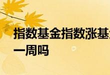 指数基金指数涨基金就涨吗 基金指数能连涨一周吗