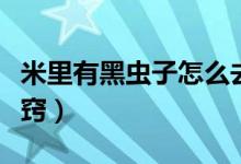 米里有黑虫子怎么去除（大米生虫子处理小诀窍）