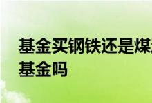 基金买钢铁还是煤炭 煤矿和钢铁属于消费类基金吗