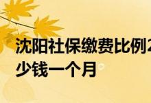 沈阳社保缴费比例2022年多少 个人社保交多少钱一个月 