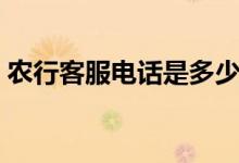 农行客服电话是多少（农行客服电话是多少）