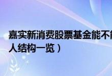 嘉实新消费股票基金能不能买（截至2022年4月16日年持股人结构一览）