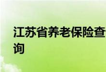 江苏省养老保险查询 江苏省个人养老保险查询