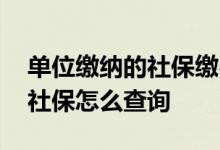 单位缴纳的社保缴费比例是多少 单位缴纳的社保怎么查询 