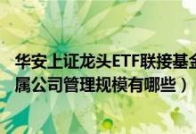 华安上证龙头ETF联接基金什么时候能赎回（2020年基金所属公司管理规模有哪些）