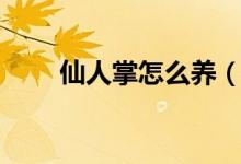 仙人掌怎么养（仙人掌的养殖方法）