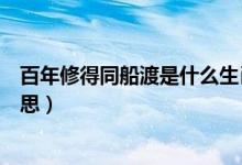 百年修得同船渡是什么生肖动物（百年修得同船渡是什么意思）