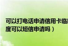 可以打电话申请信用卡临时额度吗（大新银行信用卡临时额度可以短信申请吗）