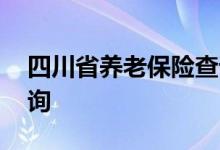 四川省养老保险查询 四川省个人养老保险查询