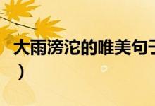 大雨滂沱的唯美句子（大雨滂沱的唯美句子有）