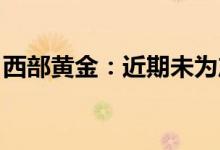 西部黄金：近期未为产业转型升级投资新项目