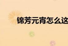 锦芳元宵怎么这么有名（锦芳元宵）