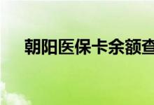 朝阳医保卡余额查询 朝阳医疗保险查询